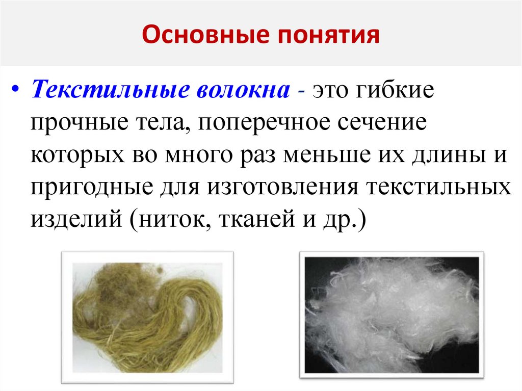 Основные понятия