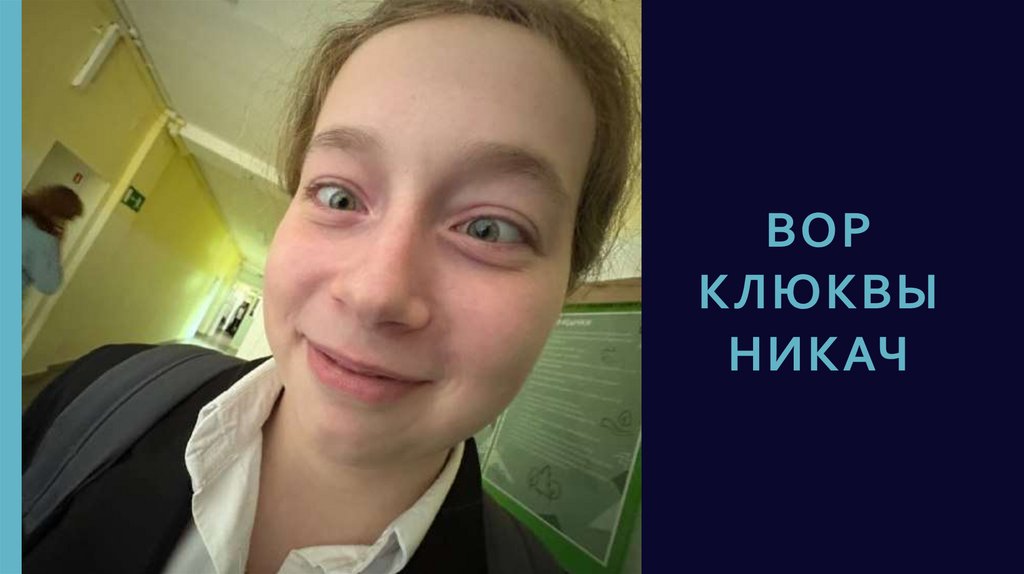Вор клюквы никач