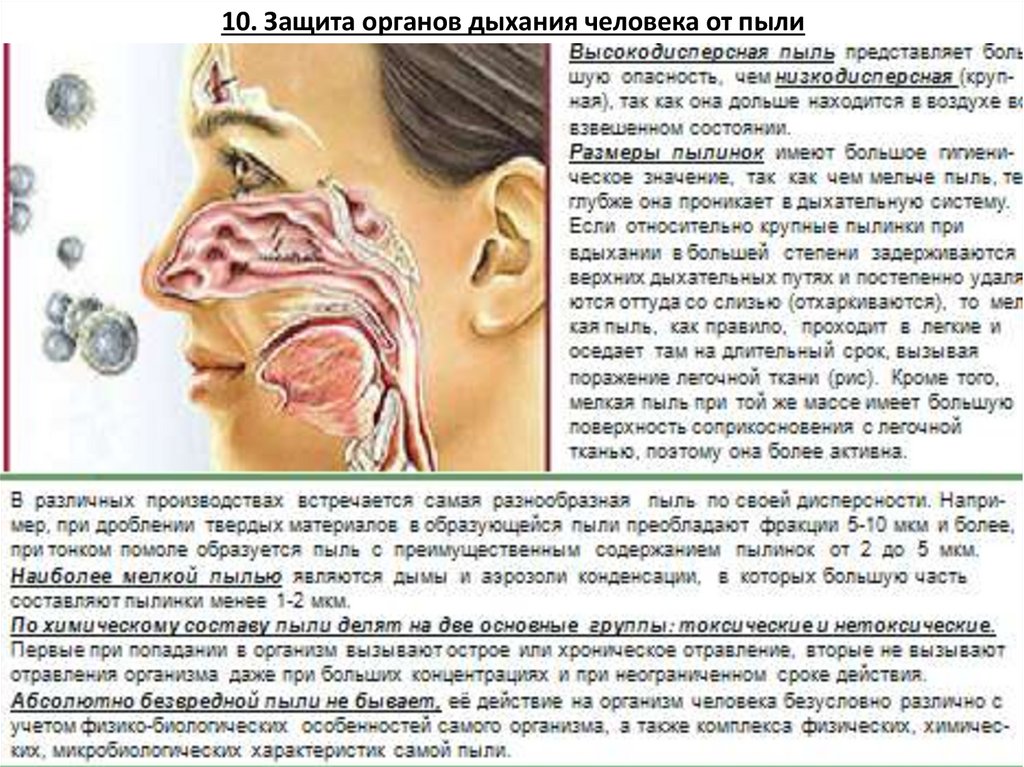 10. Защита органов дыхания человека от пыли