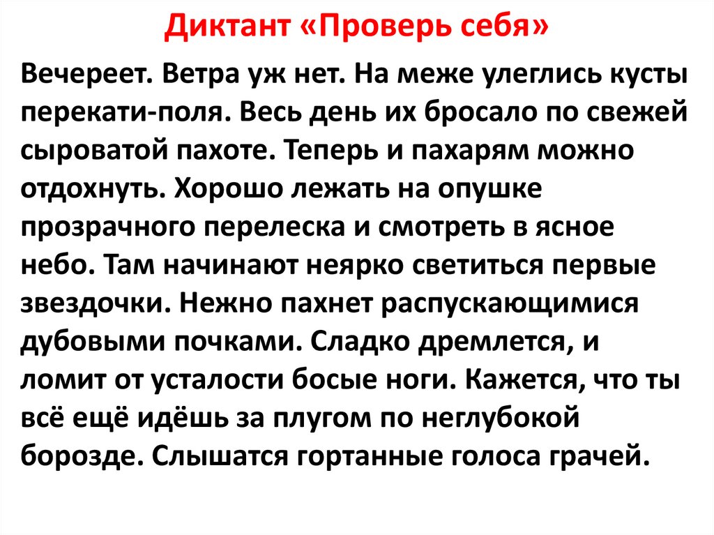 Диктант «Проверь себя»