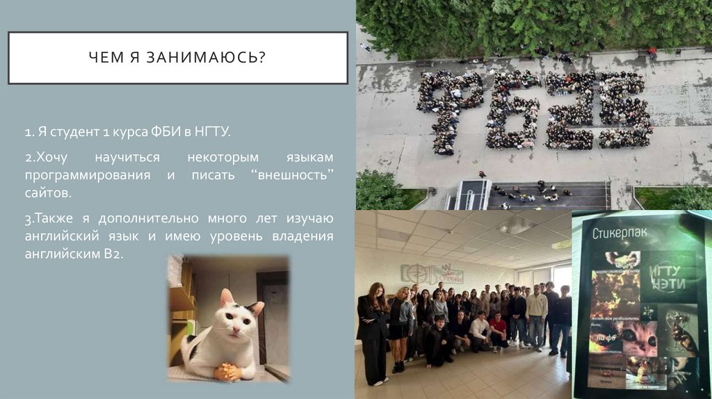 Чем я занимаюсь?