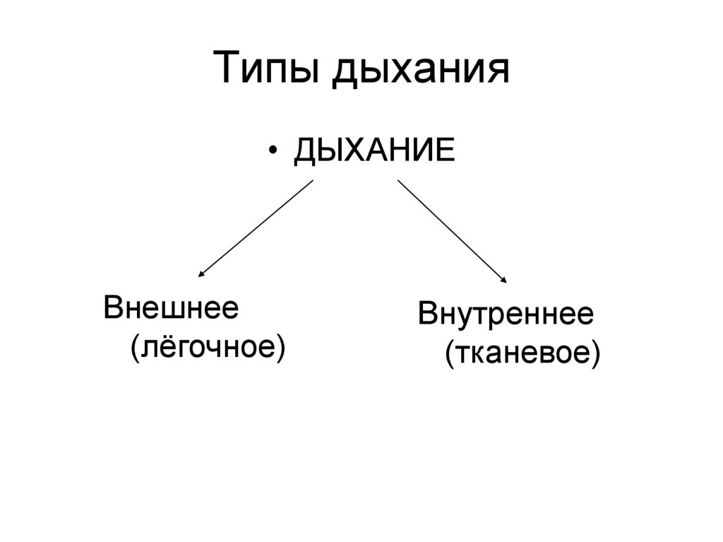 Типы дыхания