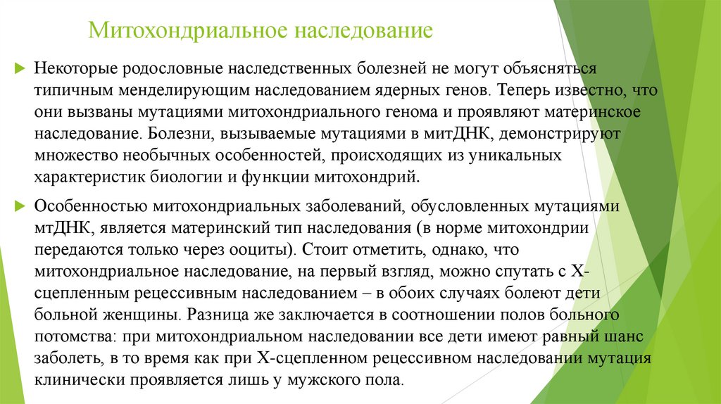 Митохондриальное наследование