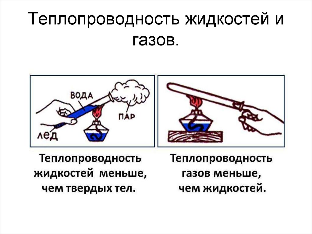 Теплопроводность жидкостей и газов.