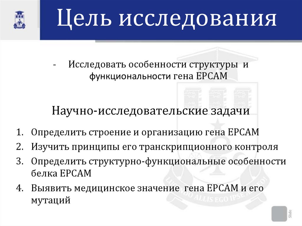 Научно-исследовательские задачи
