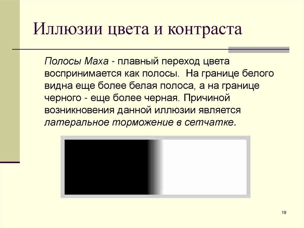 Иллюзии цвета и контраста