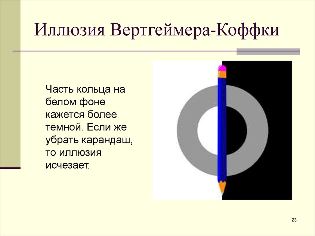 Иллюзия Вертгеймера-Коффки