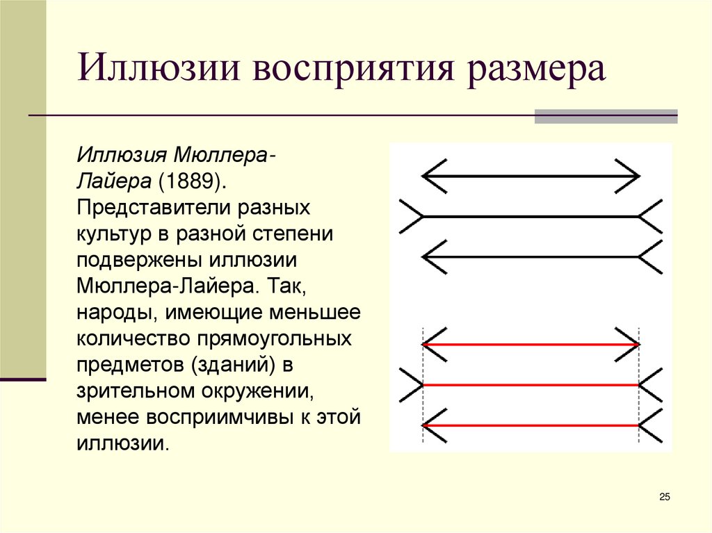 Иллюзии восприятия размера