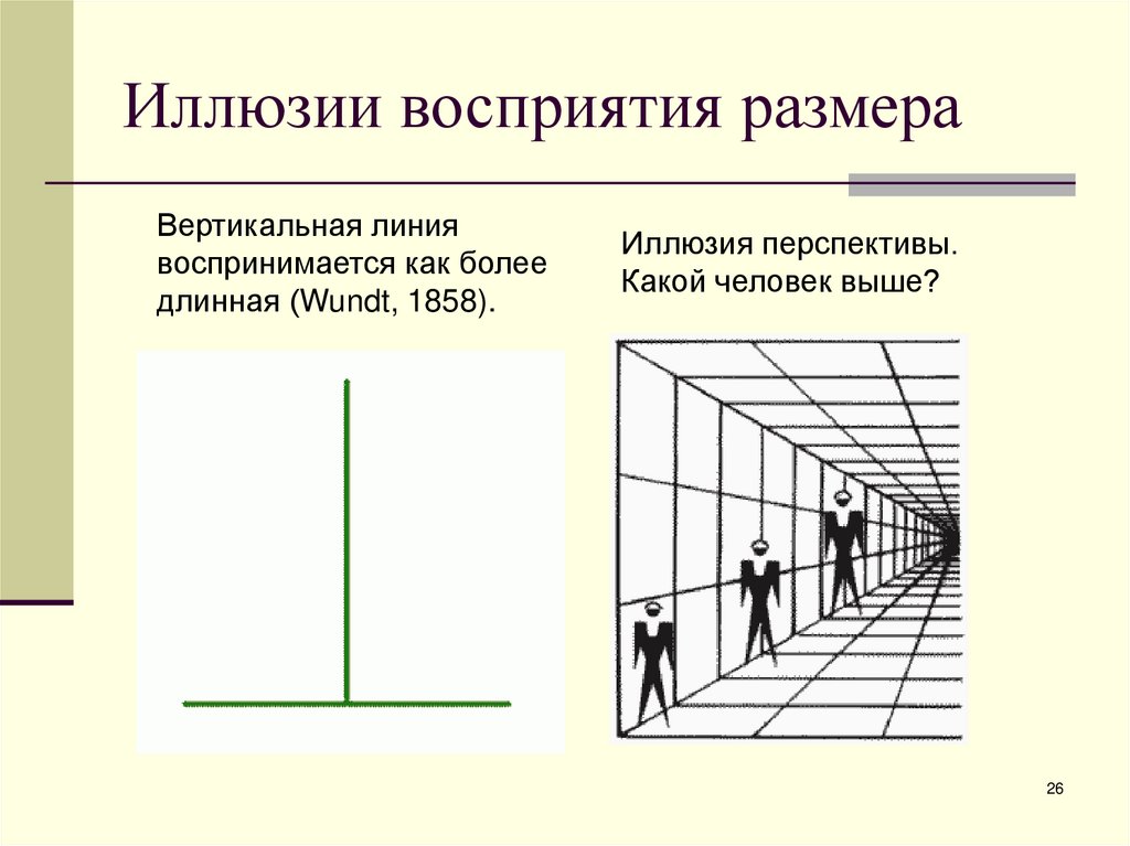 Иллюзии восприятия размера
