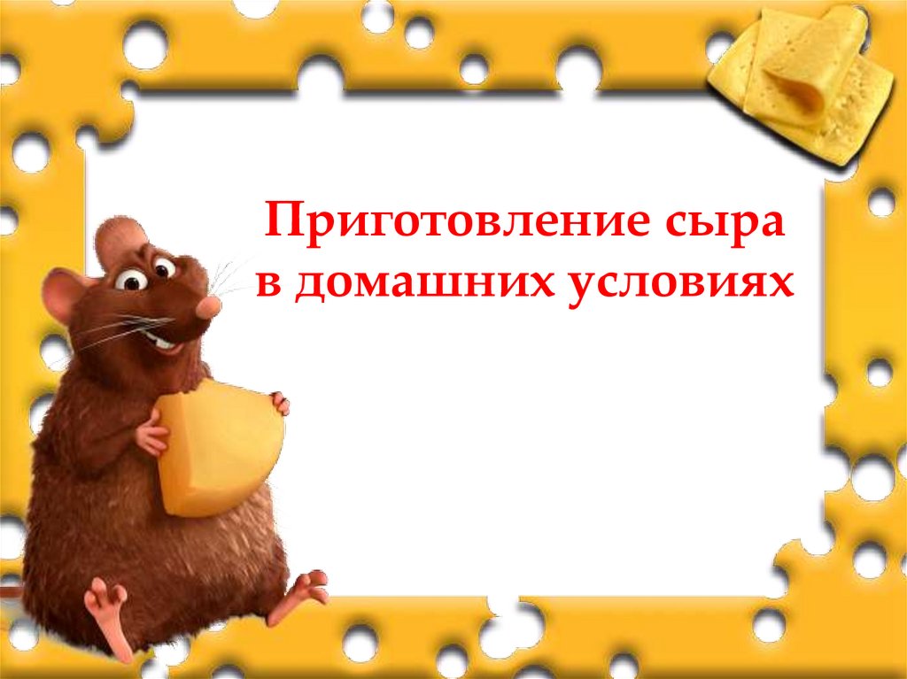 Приготовление сыра в домашних условиях