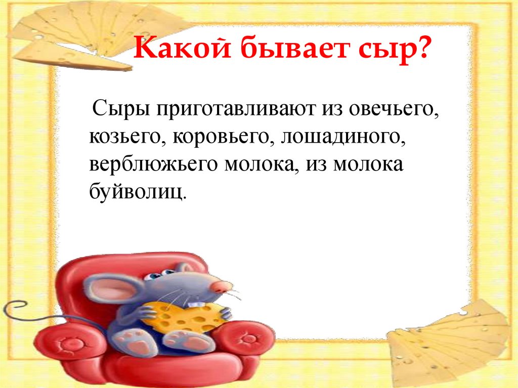 Какой бывает сыр?