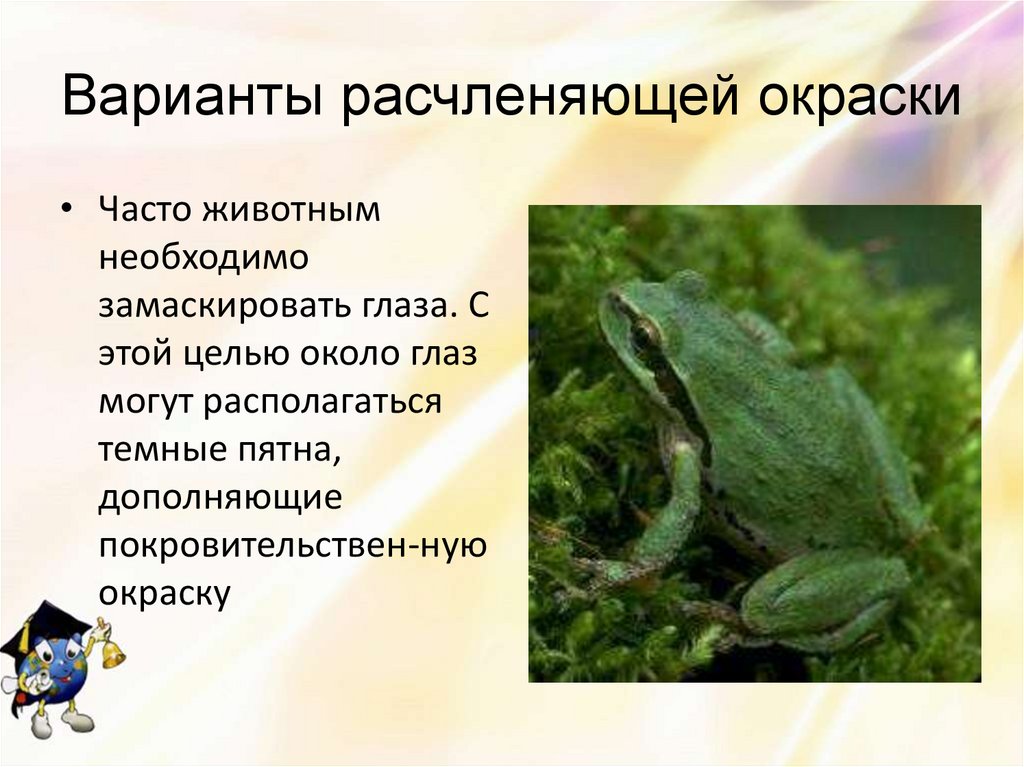 Варианты расчленяющей окраски