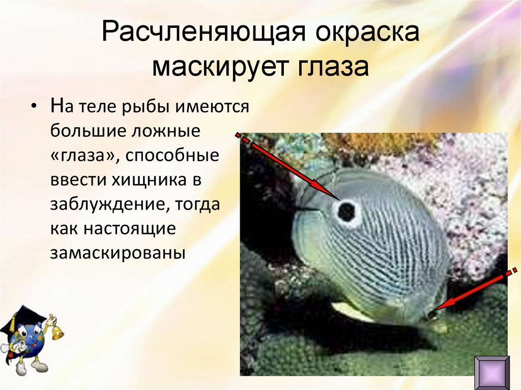 Расчленяющая окраска маскирует глаза