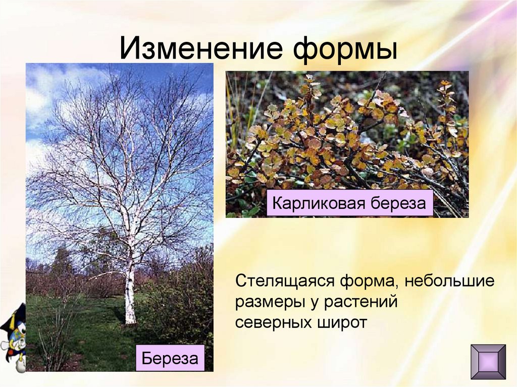 Изменение формы