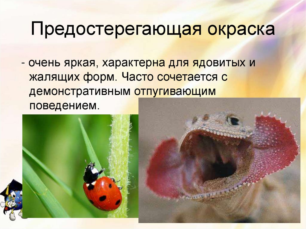 Предостерегающая окраска