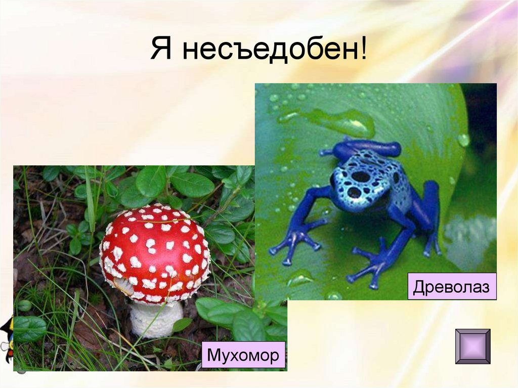 Я несъедобен!