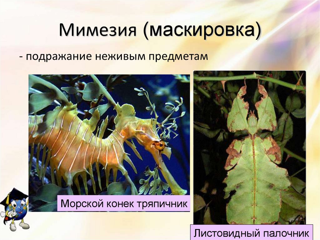 Мимезия (маскировка)