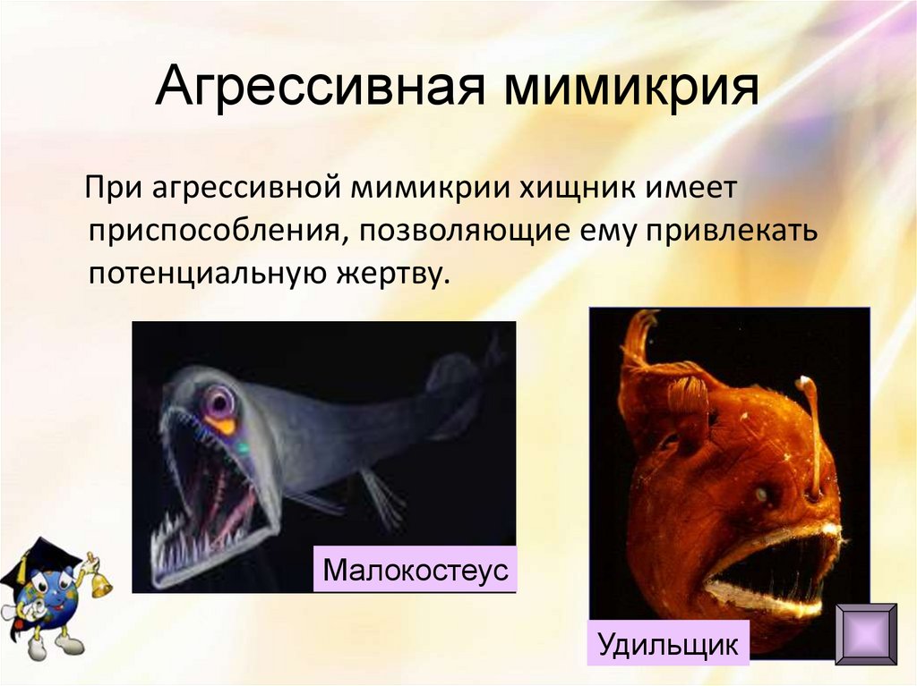 Агрессивная мимикрия