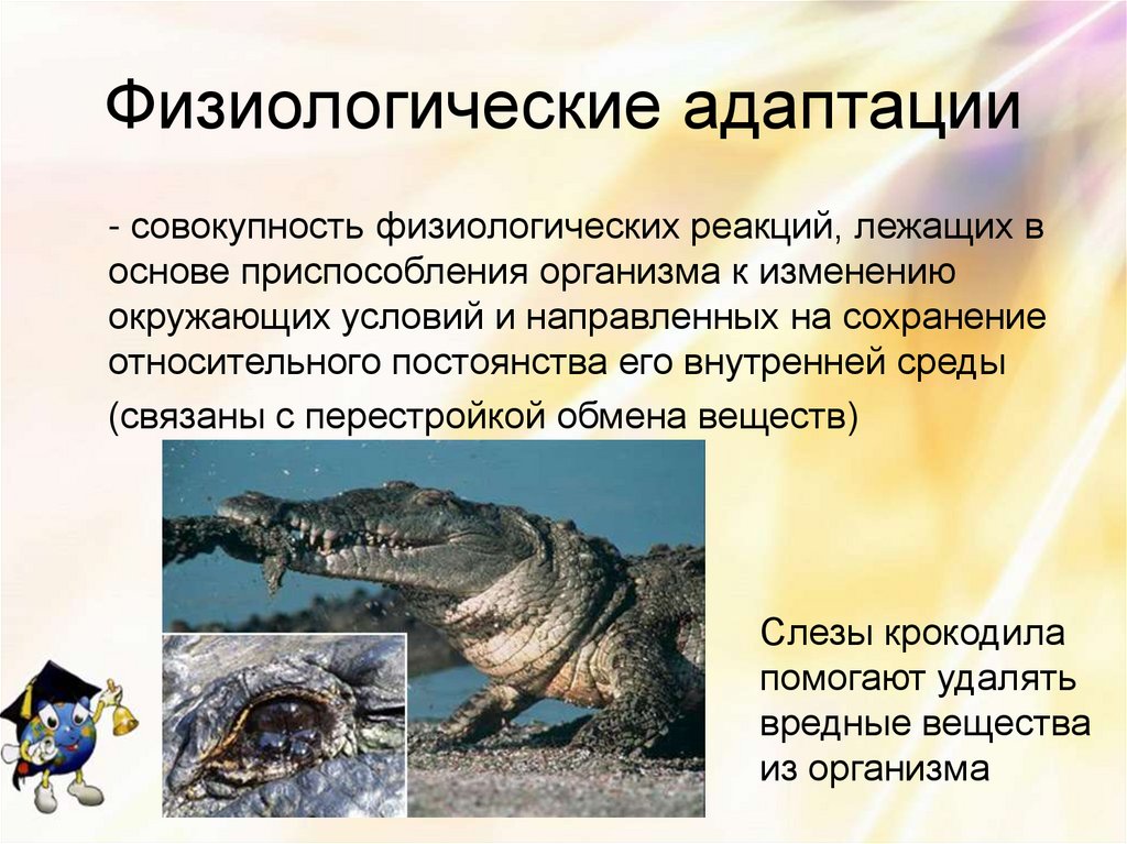 Физиологические адаптации