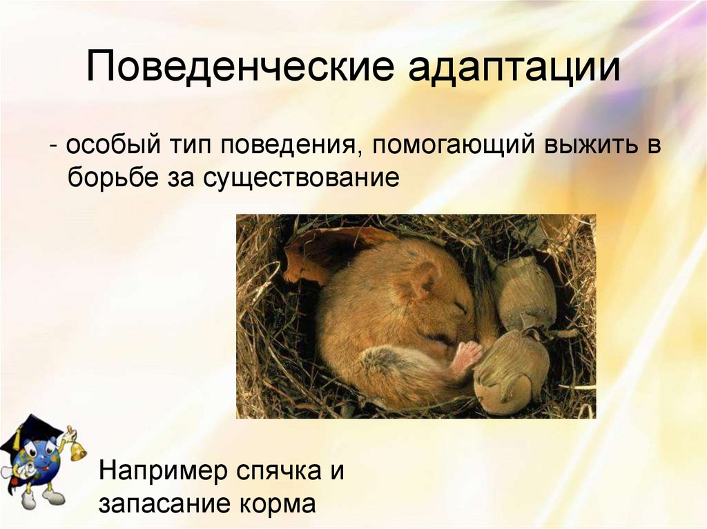 Поведенческие адаптации