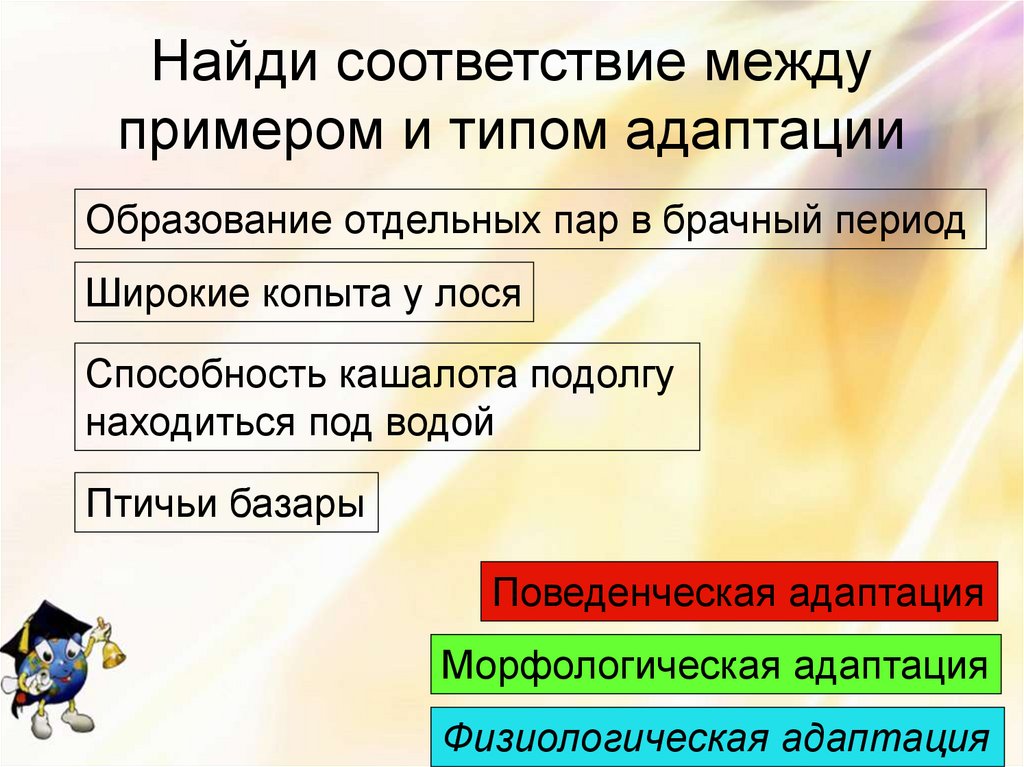 Найди соответствие между примером и типом адаптации