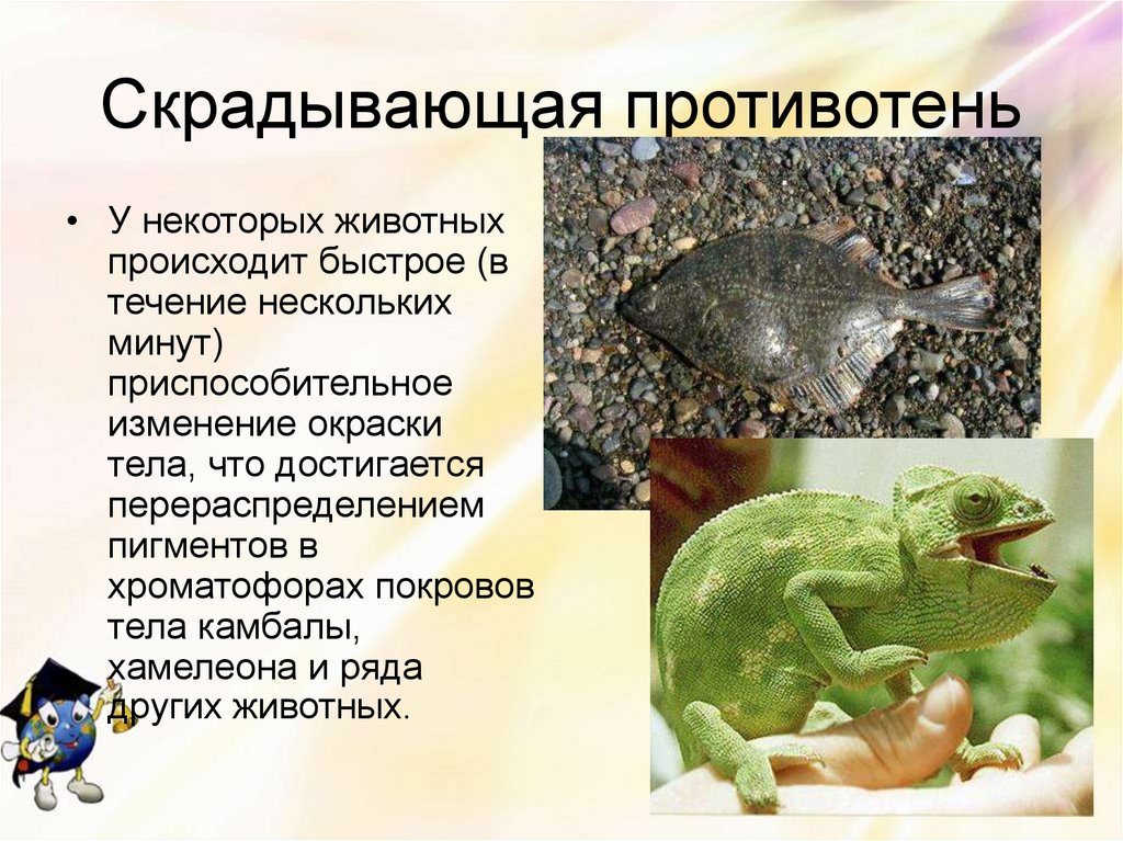 Скрадывающая противотень