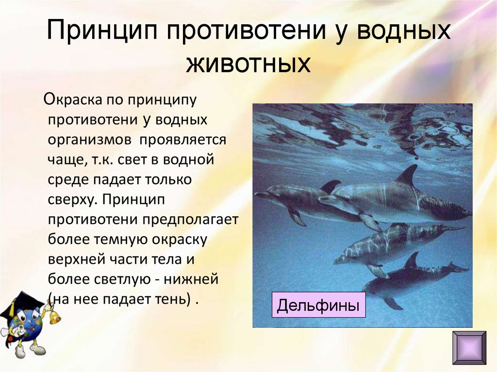 Принцип противотени у водных животных