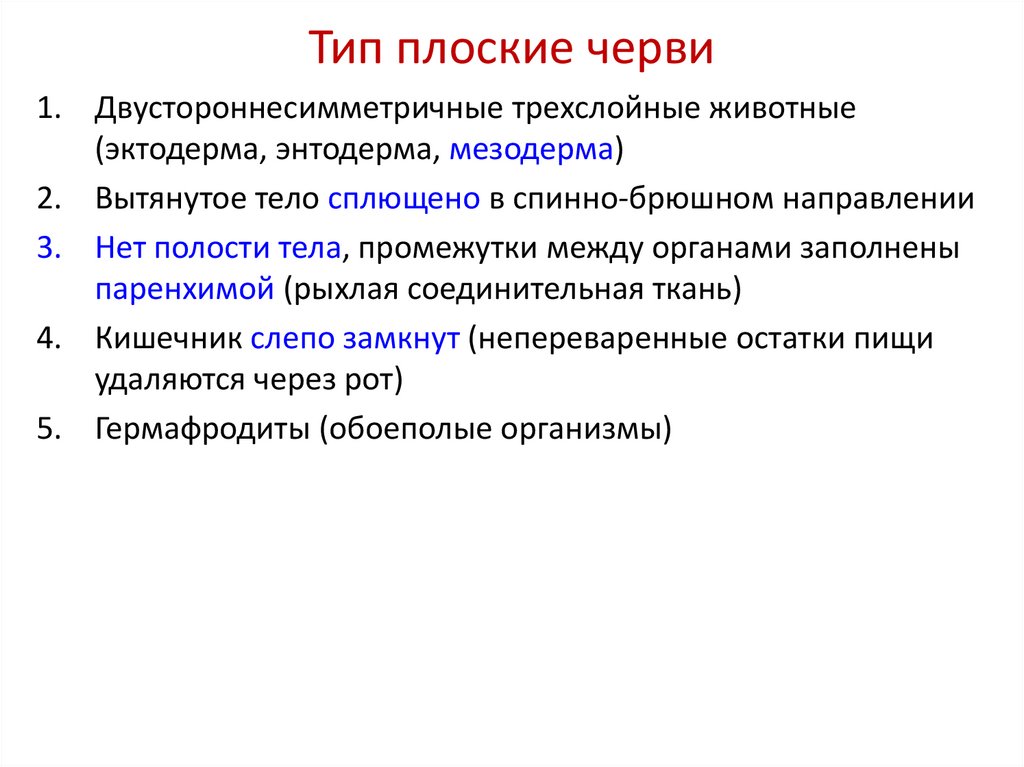 Тип плоские черви