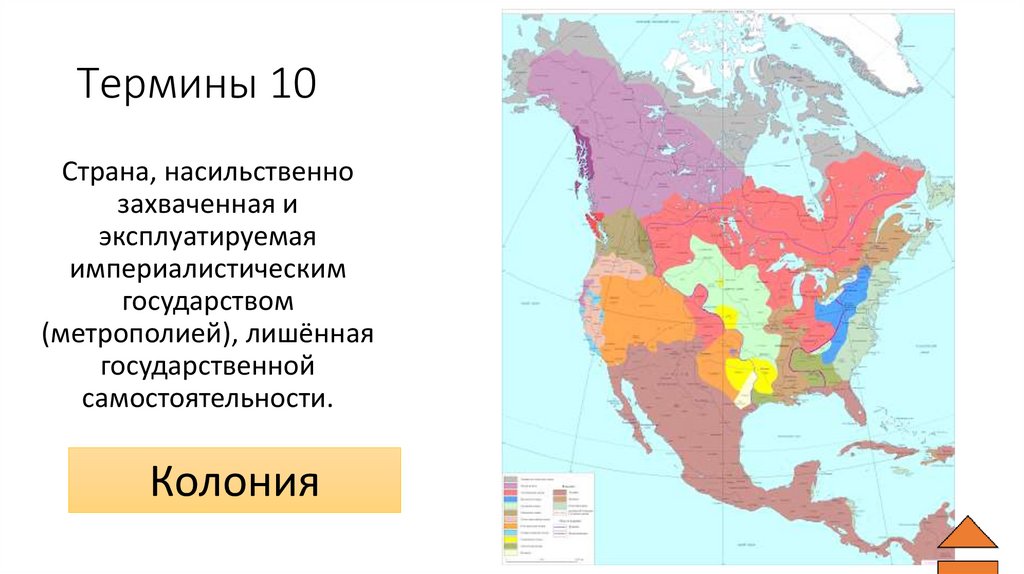 Термины 10