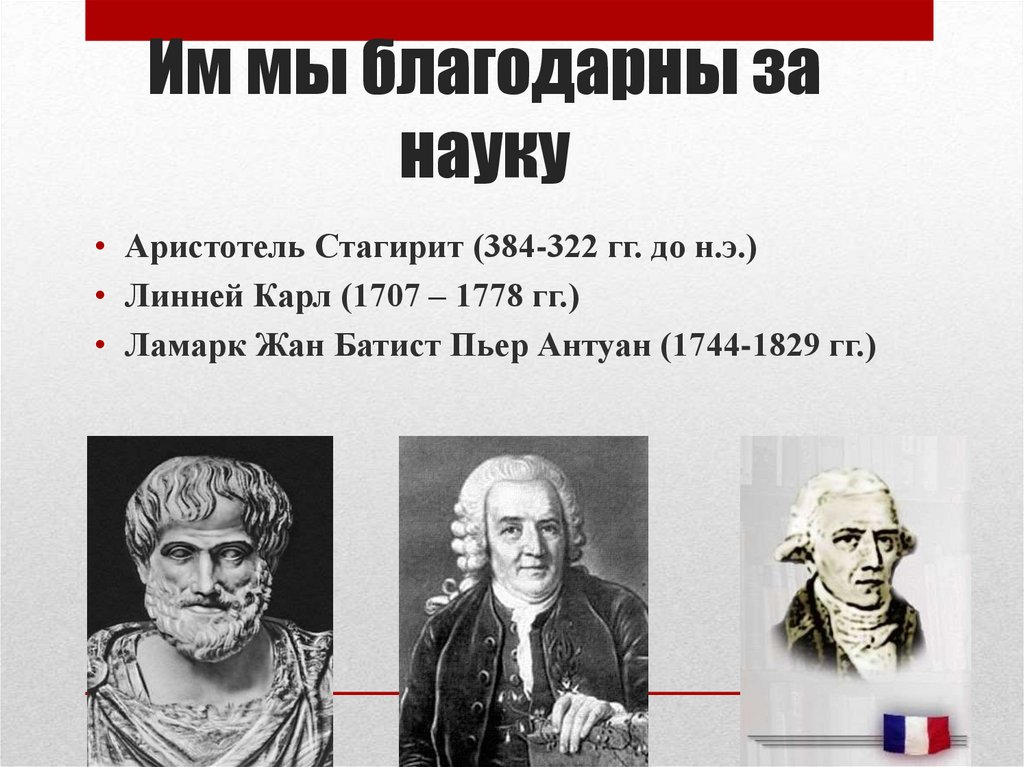Им мы благодарны за науку