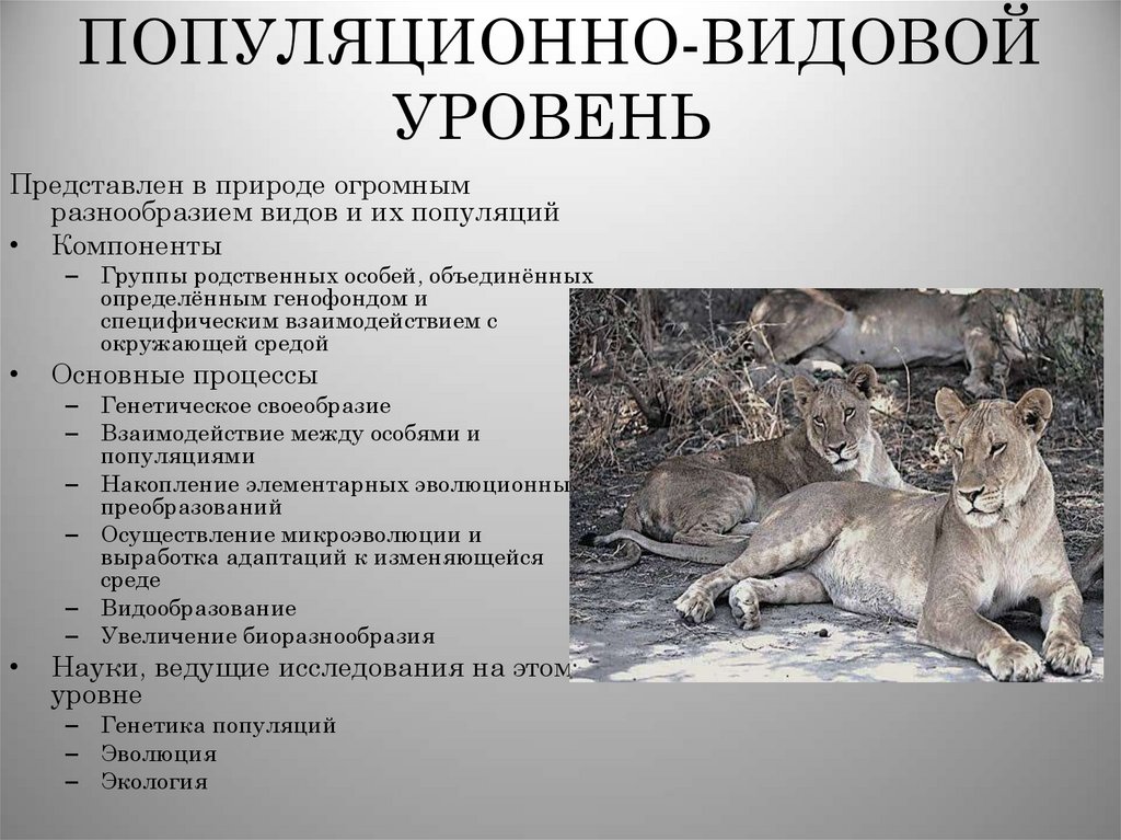 ПОПУЛЯЦИОННО-ВИДОВОЙ УРОВЕНЬ 