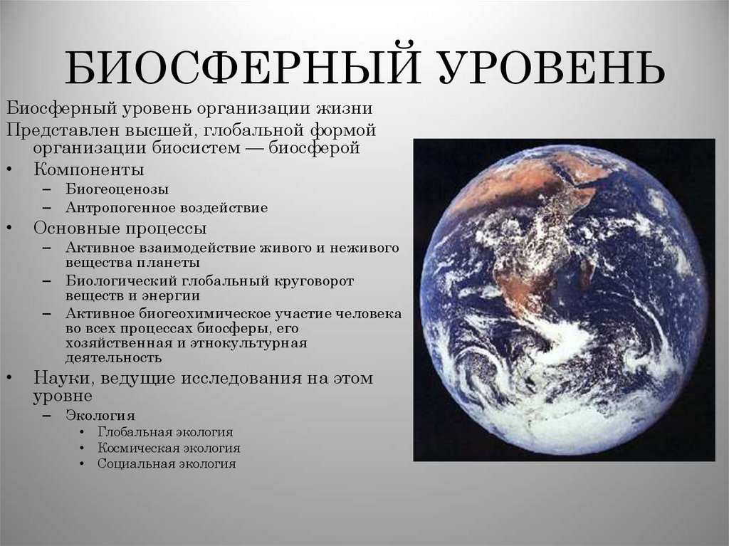 БИОСФЕРНЫЙ УРОВЕНЬ
