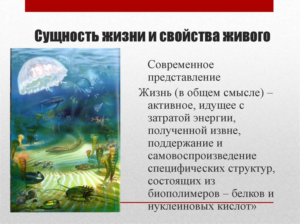 Сущность жизни и свойства живого