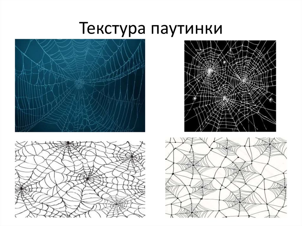 Текстура паутинки