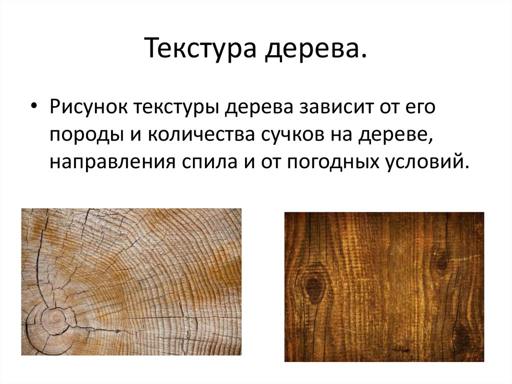 Текстура дерева.
