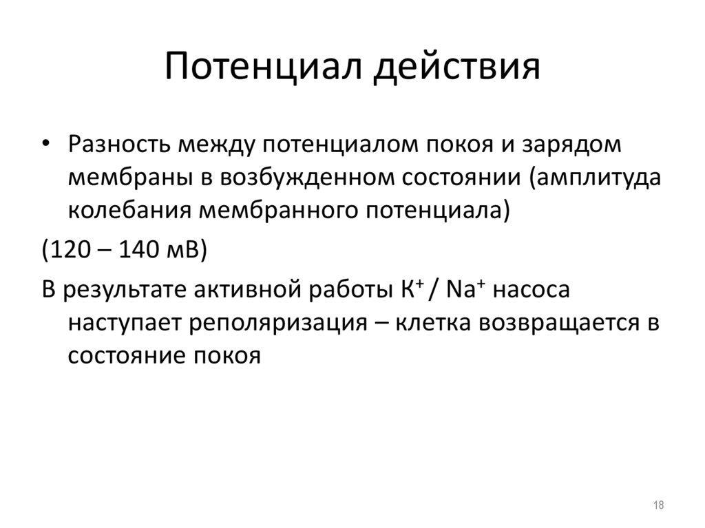 Потенциал действия