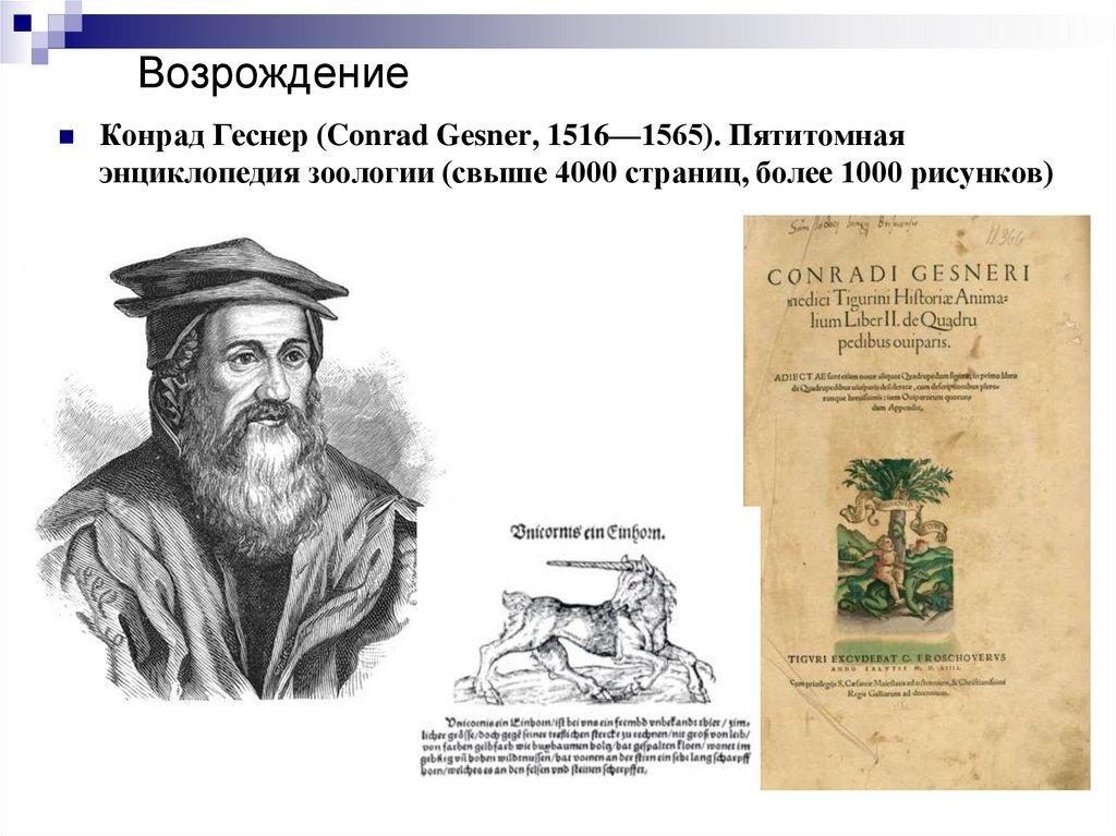 Возрождение