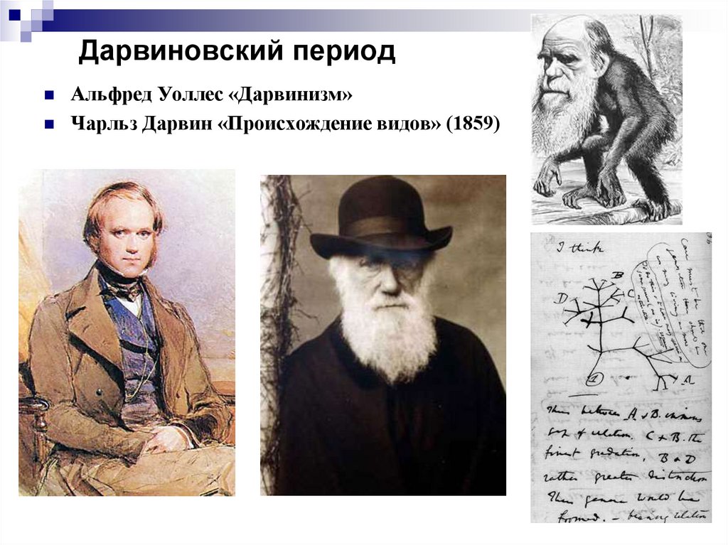 Дарвиновский период