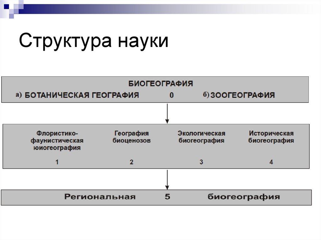 Структура науки