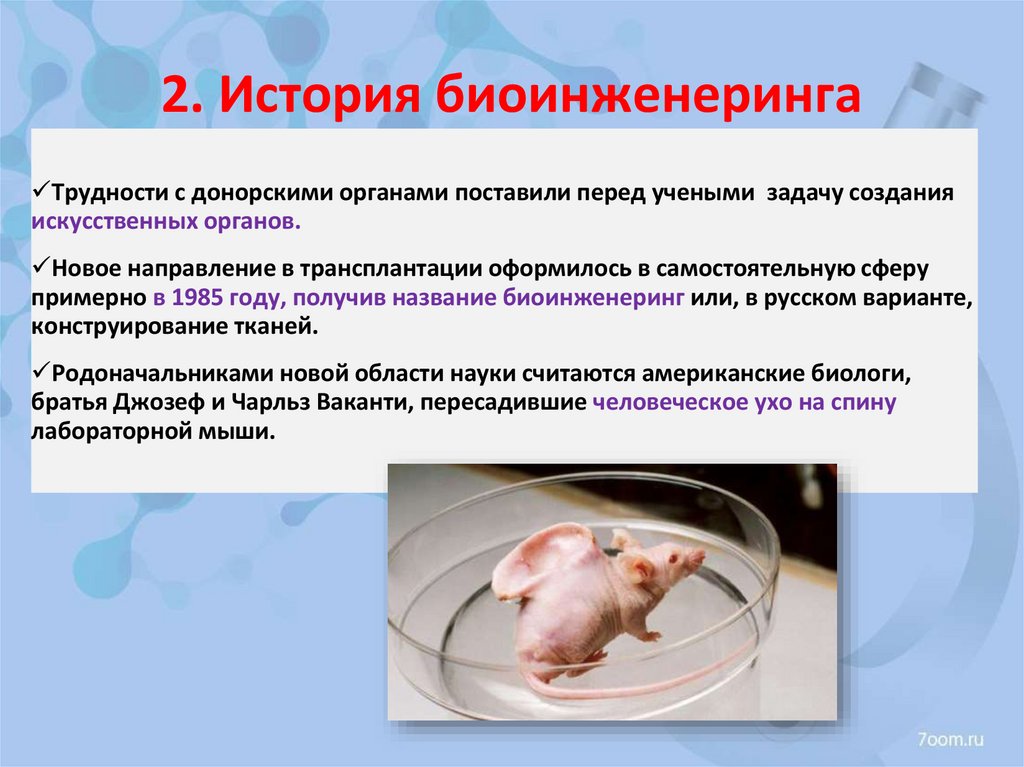 2. История биоинженеринга