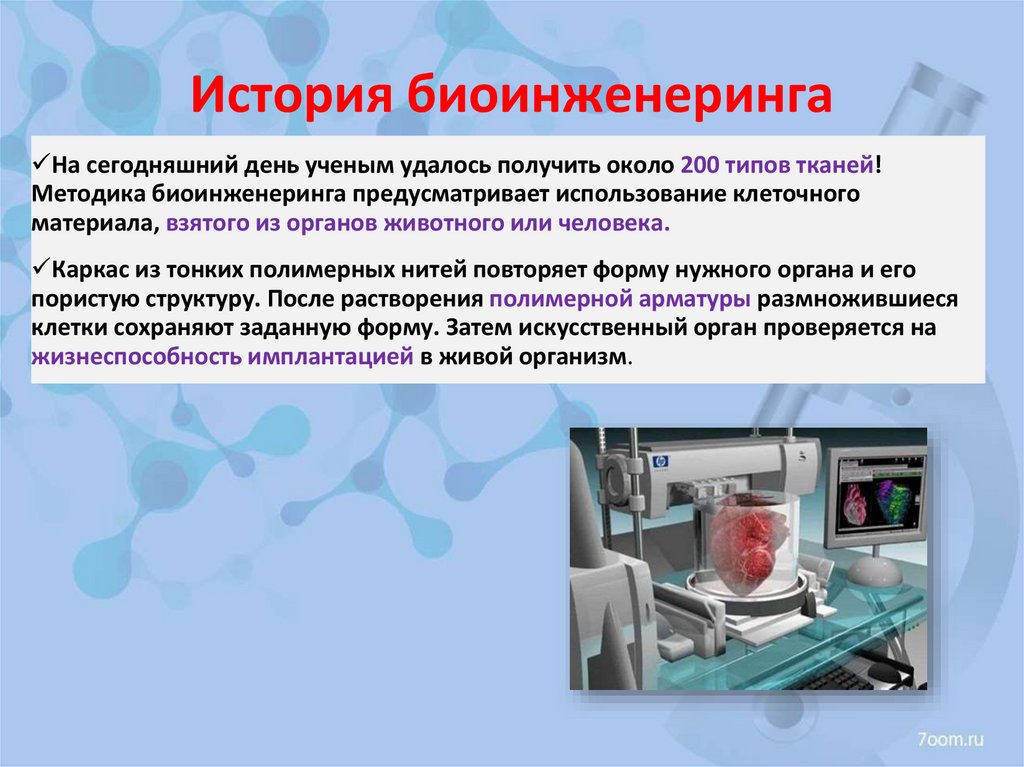 История биоинженеринга