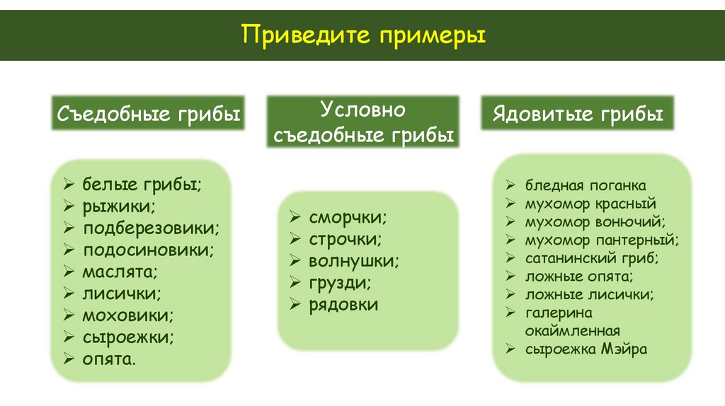 Приведите примеры