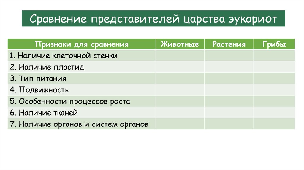 Сравнение представителей царства эукариот