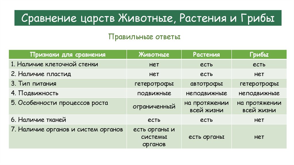 Сравнение царств Животные, Растения и Грибы