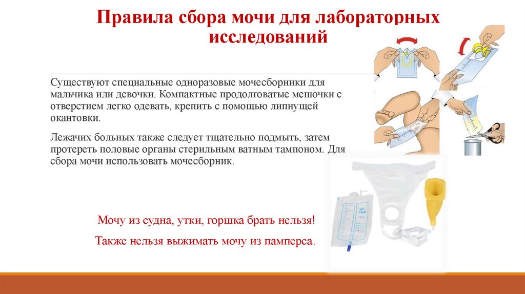 Правила сбора мочи для лабораторных исследований