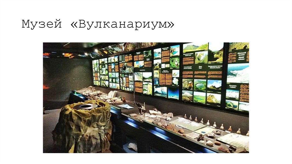 Музей «Вулканариум»