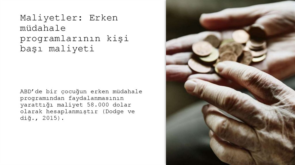 Maliyetler: Erken müdahale programlarının kişi başı maliyeti