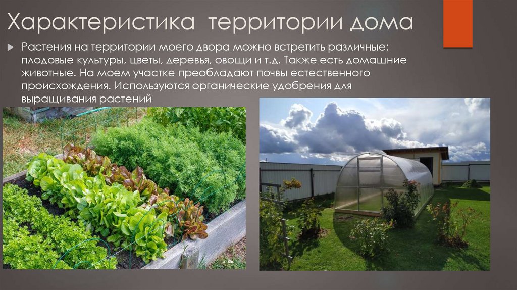Характеристика территории дома