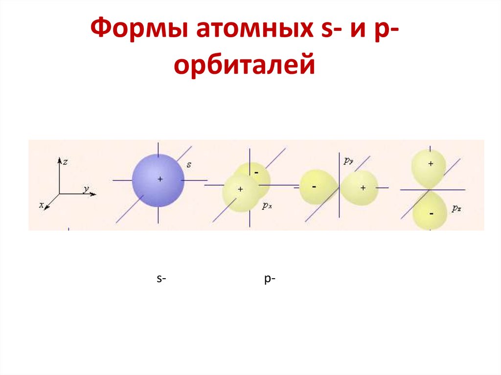 Формы атомных s- и p-орбиталей