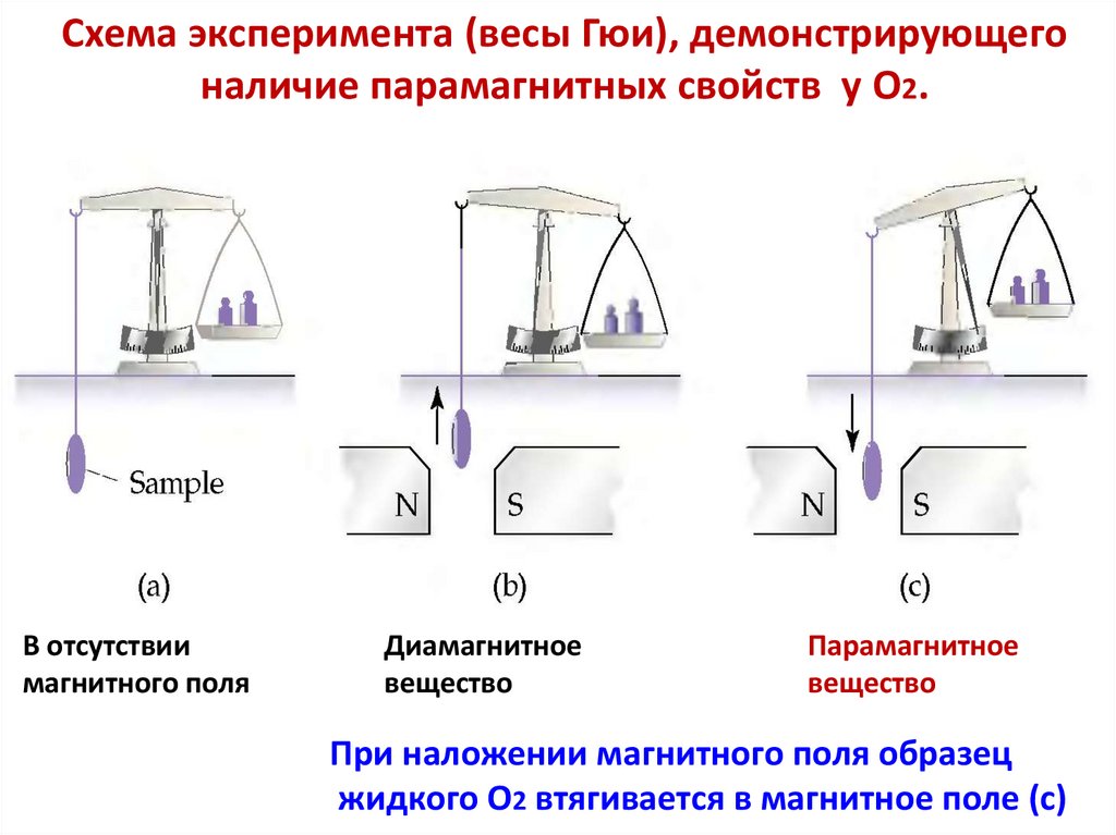 Схема эксперимента (весы Гюи), демонстрирующего наличие парамагнитных свойств у O2.